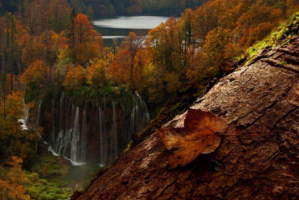 Guesthouse Villa Plitvicka Plitvička Jezera Pokój zdjęcie